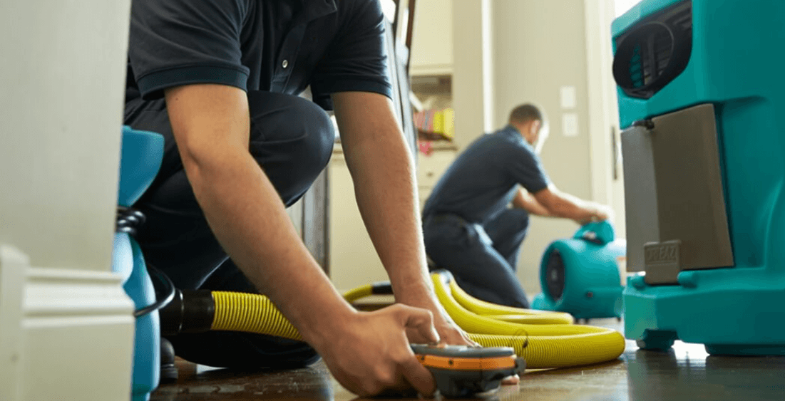 drying-carpet