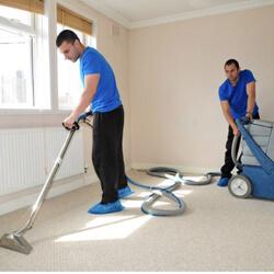 Carpet Cleaning